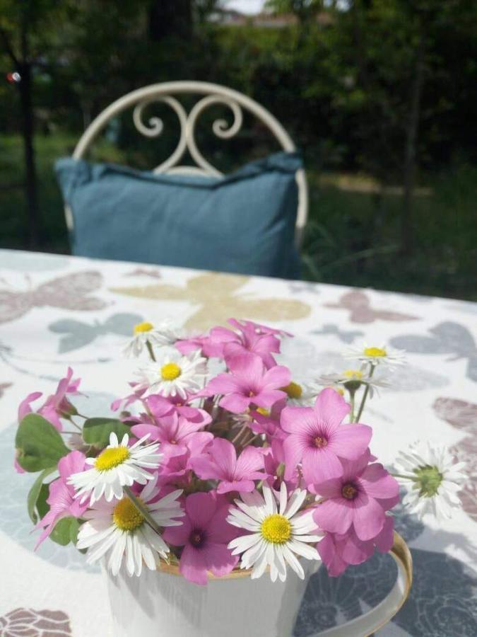 קרמה B&B Delle Arti מראה חיצוני תמונה